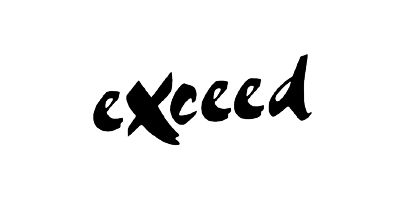 ZBooksExceed